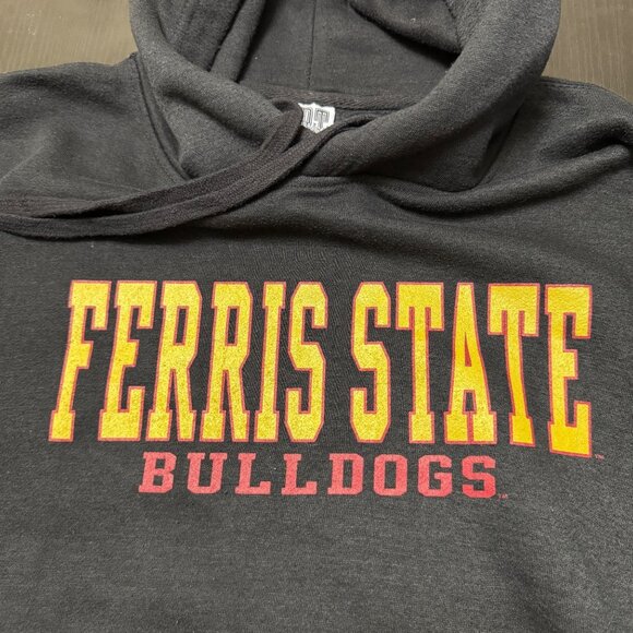 Ferris State Univ Hoodie Men’s L Dark Gray FSU Bulldogs College Sweatshirt - Picture 3 of 7